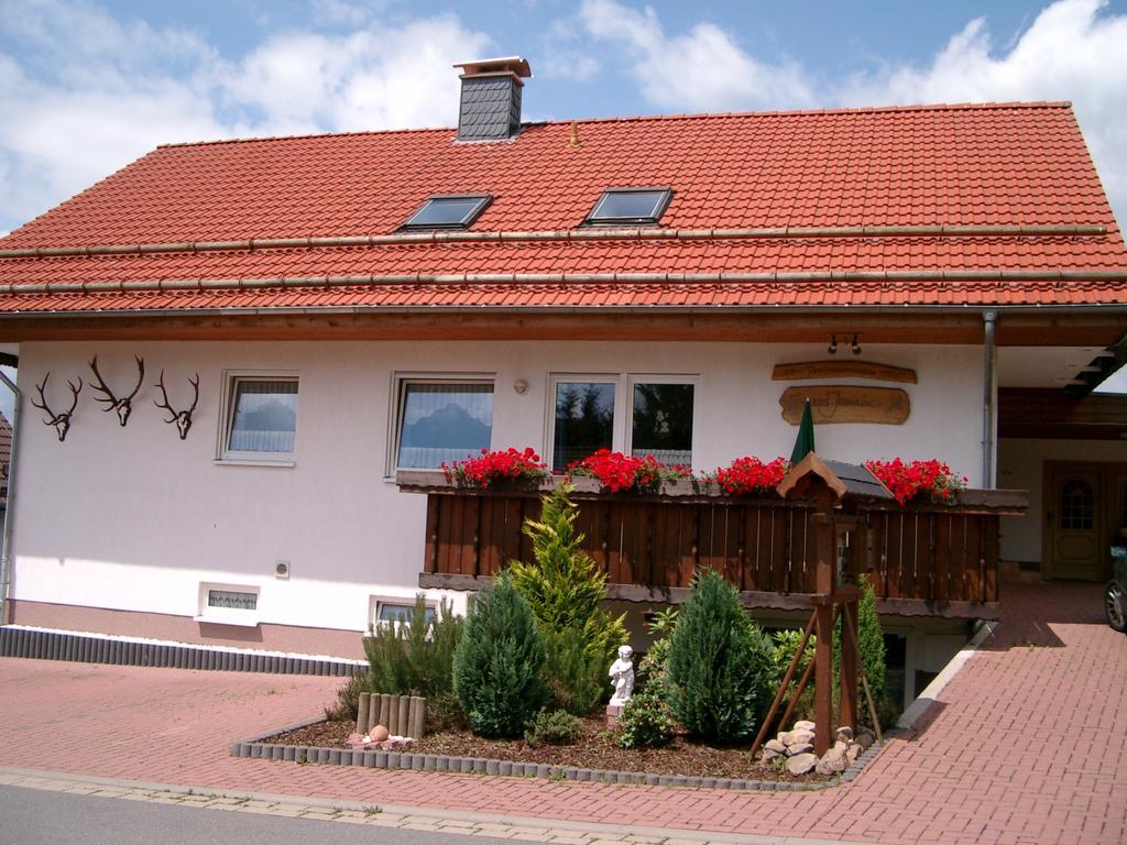 Apartamento Haus Jasmin Sankt Andreasberg Exterior foto